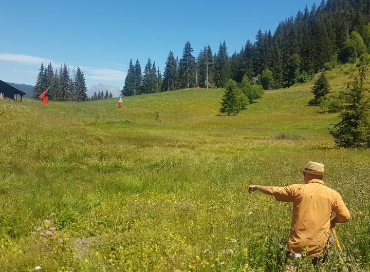 Zone humide des Évettes délimitée par un fil blanc © Marie-Anaïs Lien