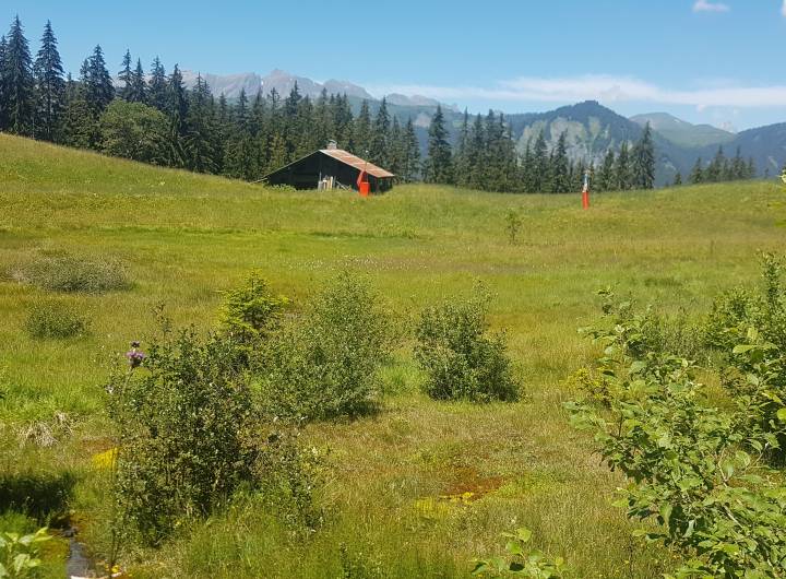 Zone humide des Évettes vue du haut