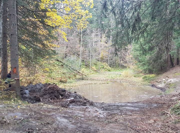 Gouille après l’opération de retrait © Marie-Anaïs Lien