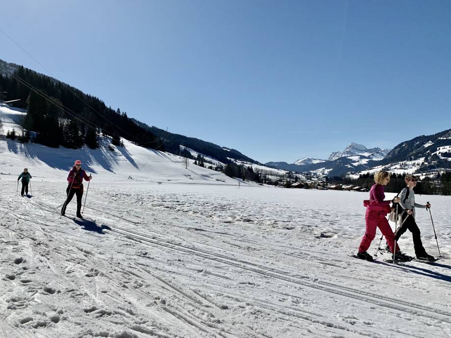 Domaine nordique : ski de fond... - Praz sur Arly Tourisme