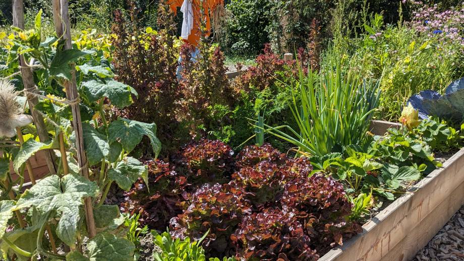 Jardins partagés de Praz-sur-Arly en 2023