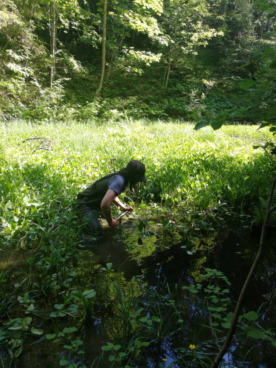 Sondage de la Gouille noire